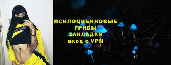 ПСИЛОЦИБИНОВЫЕ ГРИБЫ Абинск