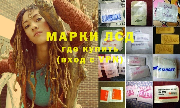 mdpv Алзамай