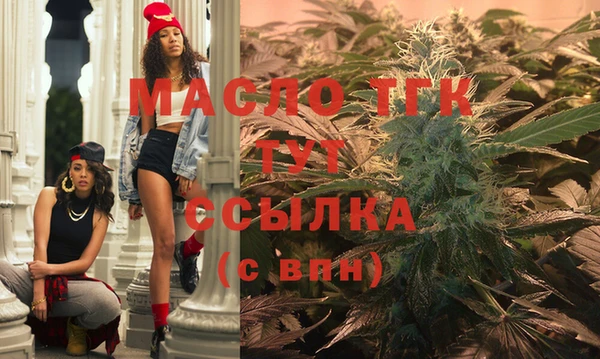 МДПВ Абаза