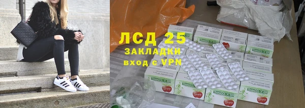 стафф Алексин